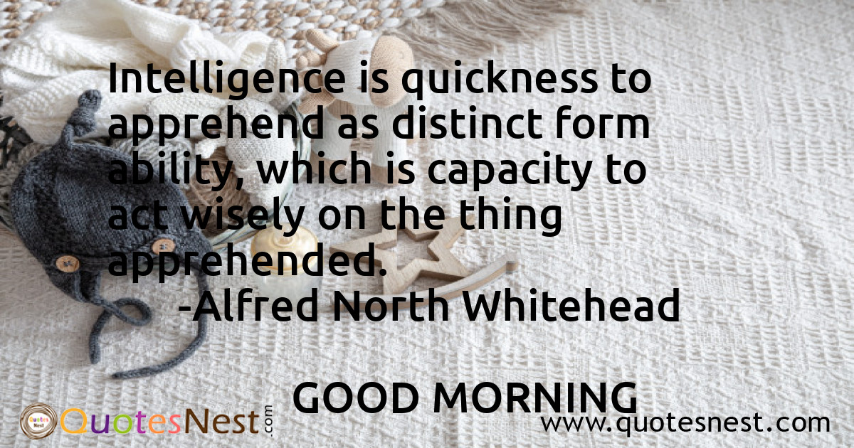 Intelligence_Alfred North Whitehead_5_small